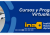 INA Virtual: una oportunidad para la educación